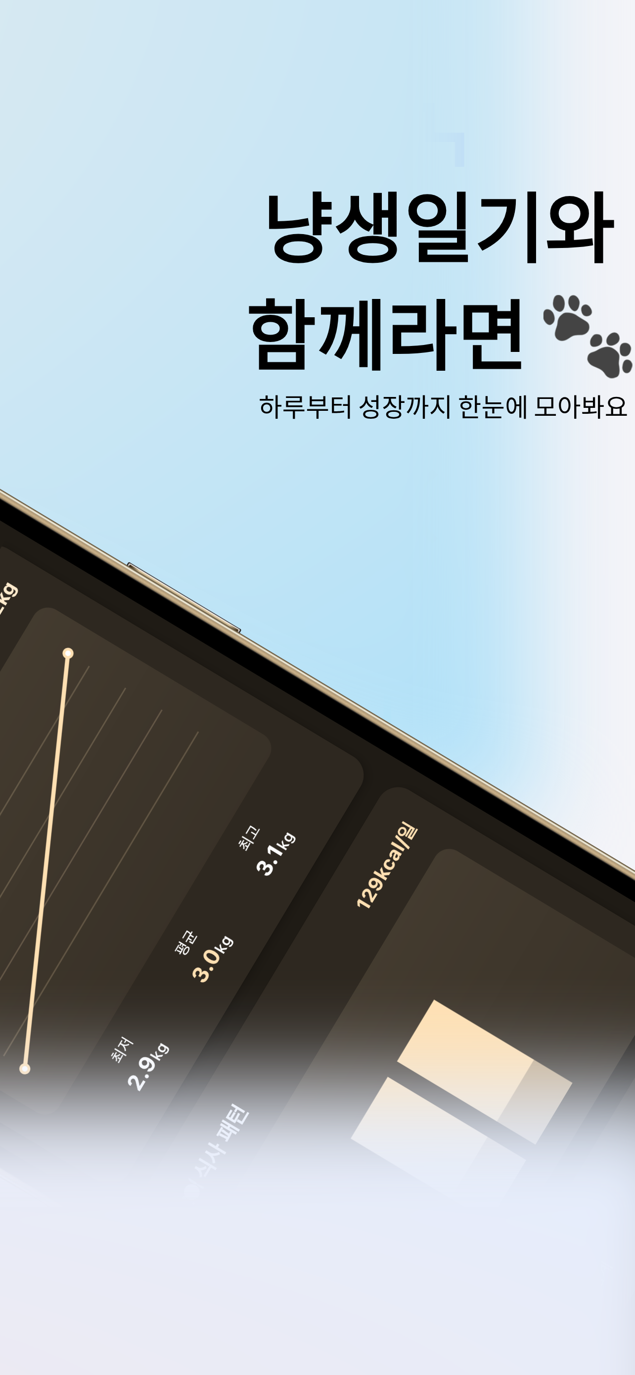 추억 갤러리 화면